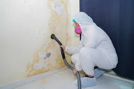 Mold Removal for HVAC Installations in Grafton, OH